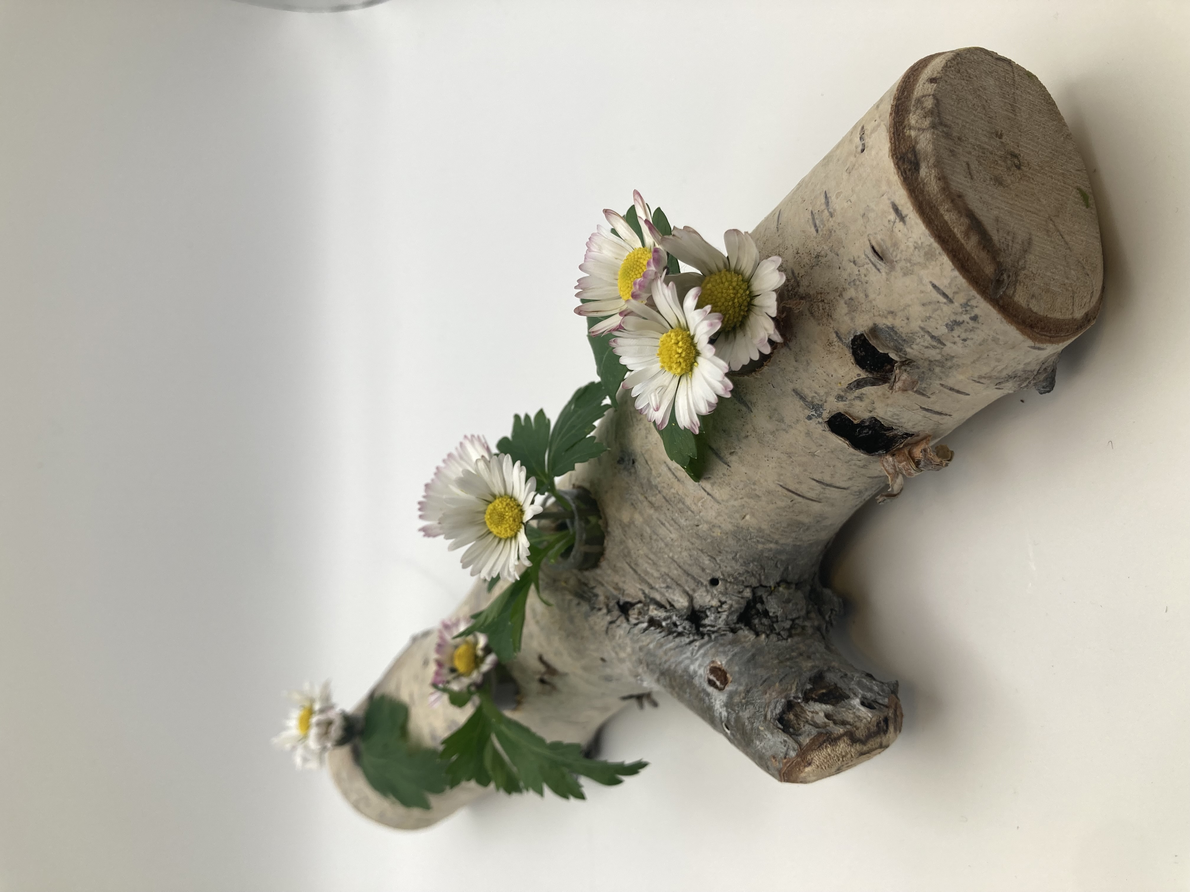 Astvase