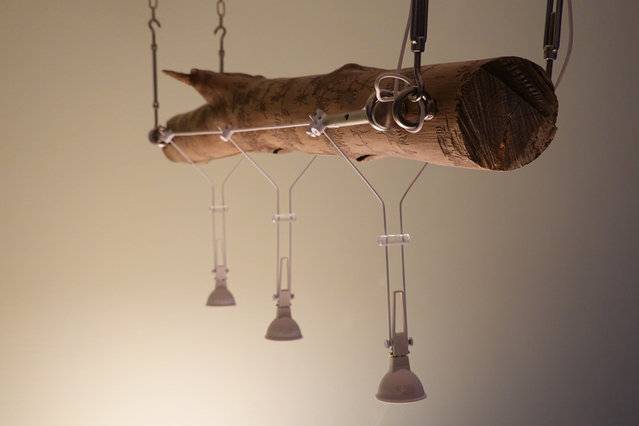 Stammlampe